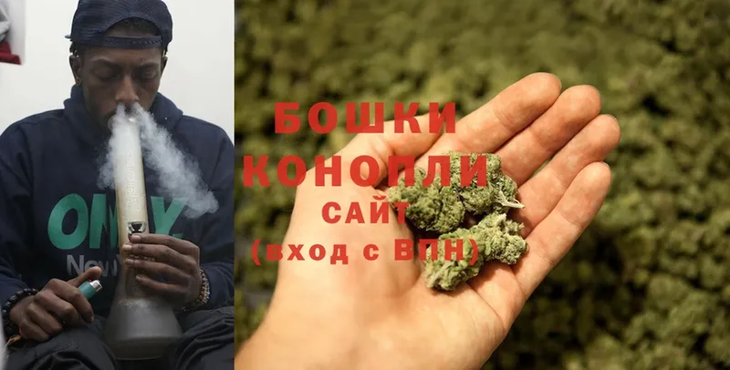 Конопля White Widow  Дедовск 